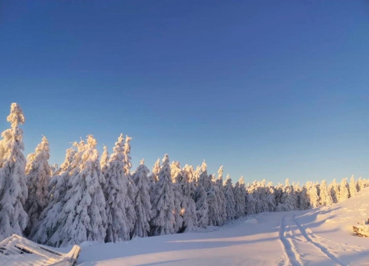 Ferienwohnung Tannhaeuser Braunlage Eksteriør billede